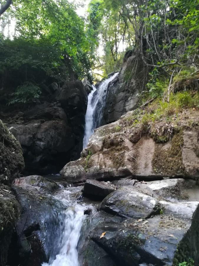 Quinta Da Portelada เปโซดาเรกวา ภายนอก รูปภาพ