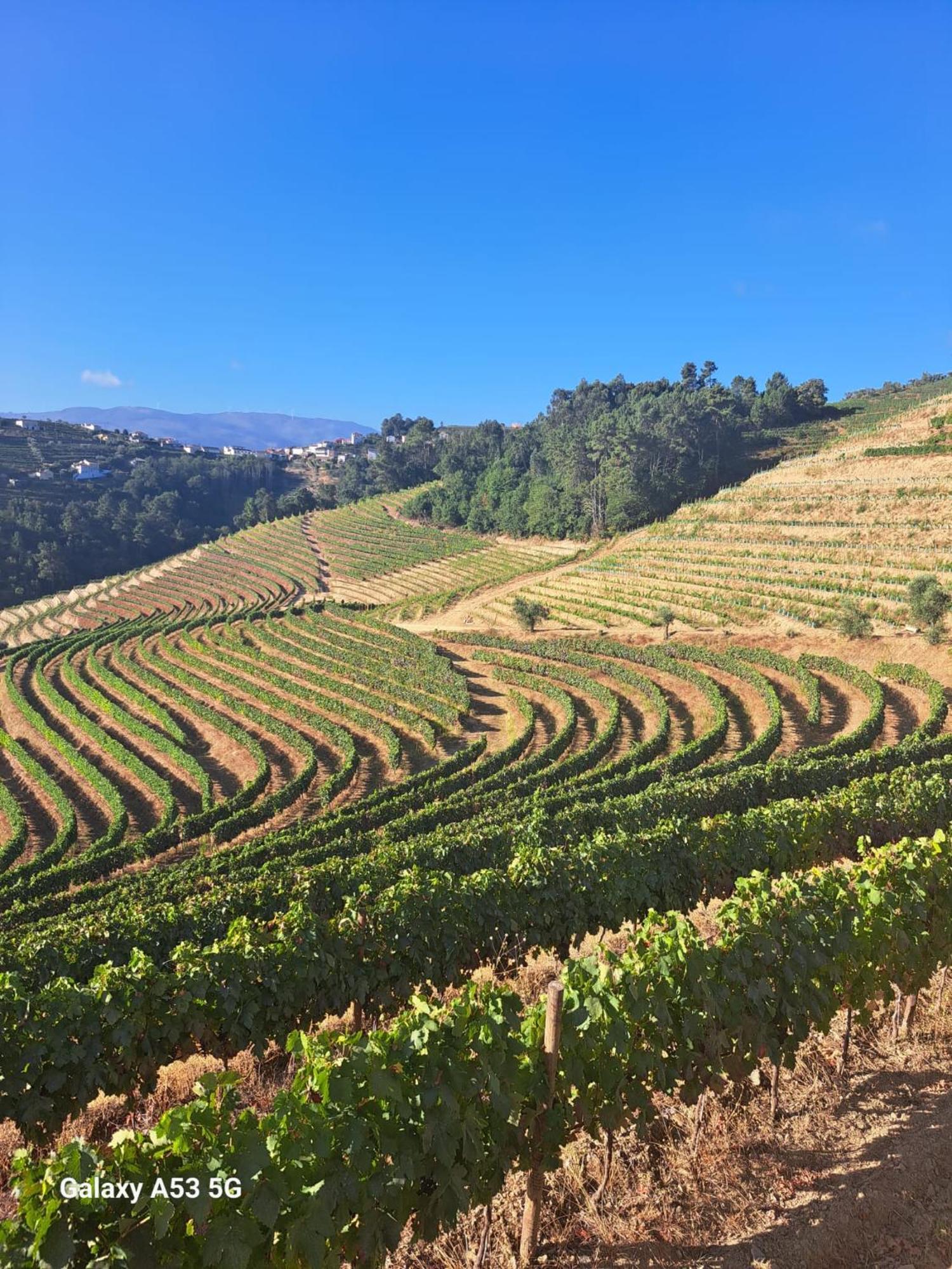 Quinta Da Portelada เปโซดาเรกวา ภายนอก รูปภาพ