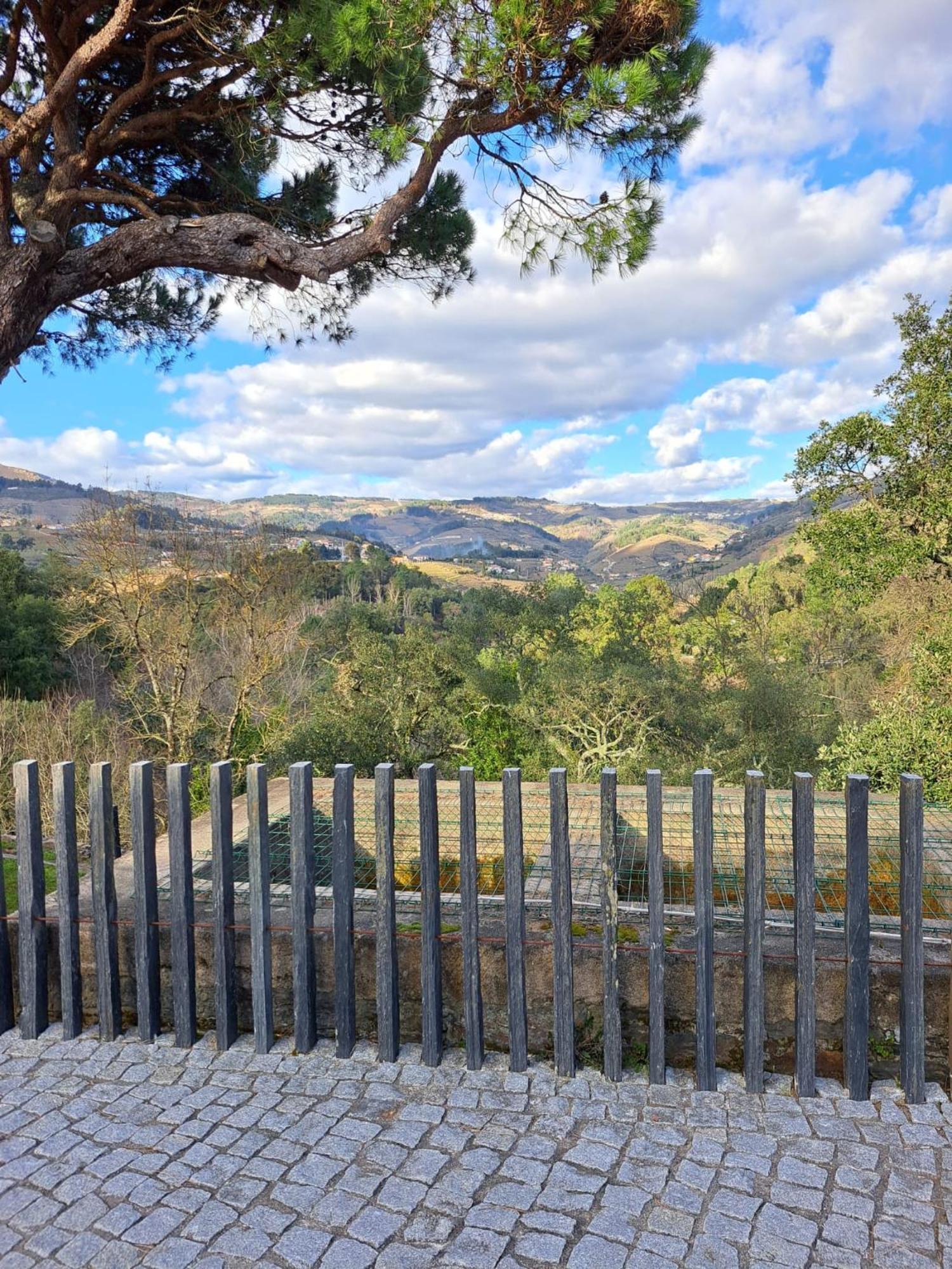Quinta Da Portelada เปโซดาเรกวา ภายนอก รูปภาพ