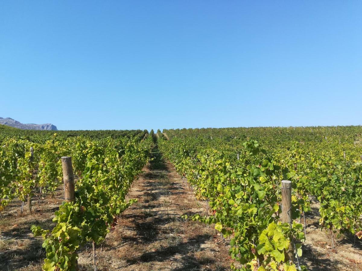 Quinta Da Portelada เปโซดาเรกวา ภายนอก รูปภาพ